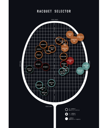 Yonex Nanoray 95 DX-3U5 (Red) Strung (Nanogy99-26lbs) sélection de produits