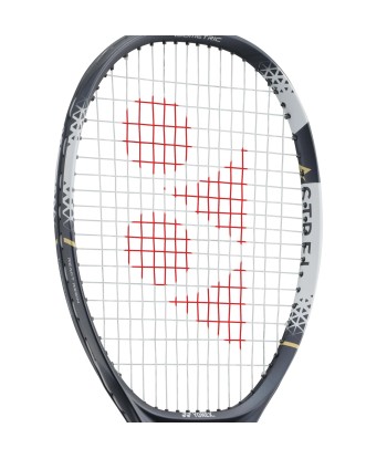 Yonex ASTREL 115 l'évolution des habitudes 